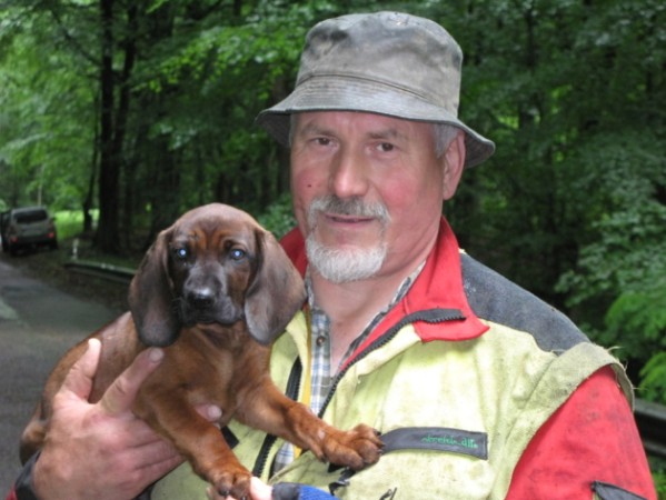 Der Schweihund-F&uuml;hrer